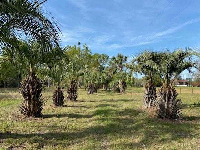 Property photo for 23206 NW 102 ND AVENUE, Alachua, FL