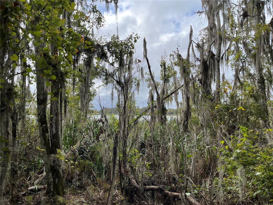 Property photo for 000 SE HAWTHORNE ROAD, Hawthorne, FL