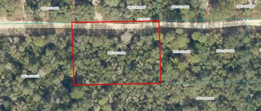 Property photo for TBD NE 236 STREET, Fort Mc Coy, FL