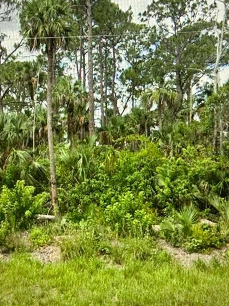Property photo for 625 GREENBRIAR BOULEVARD, Lehigh Acres, FL