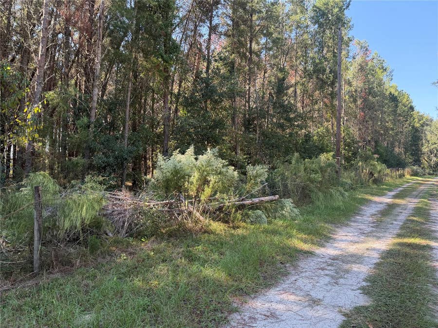 Property photo for 7818 NW STATE ROAD 45, High Springs, FL