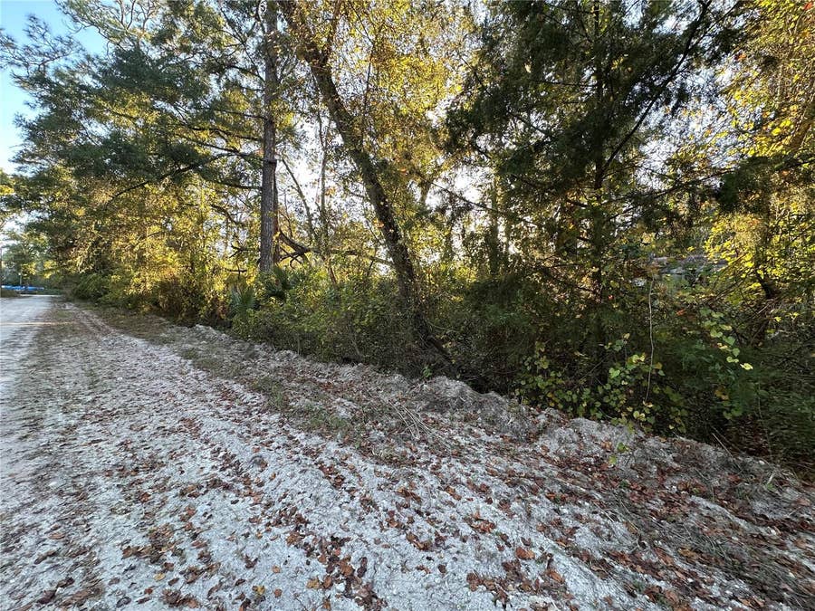Property photo for 000 926TH STREET, Old Town, FL