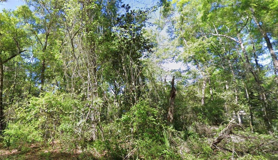 Property photo for TBD SE 926TH ST STREET, Old Town, FL