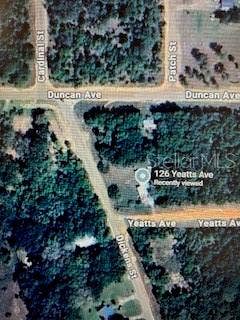 Property photo for 126 YEATTS AVENUE, Interlachen, FL