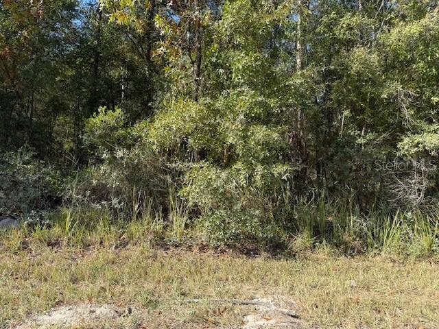 Property photo for 108TH AVENUE NE, Bronson, FL