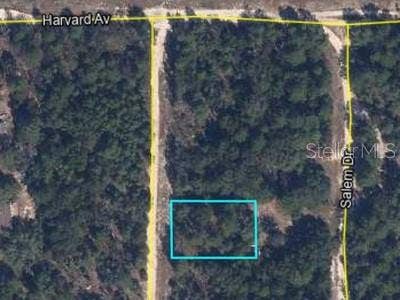 Property photo for 00 LEHIGH DRIVE, Keystone Heights, FL