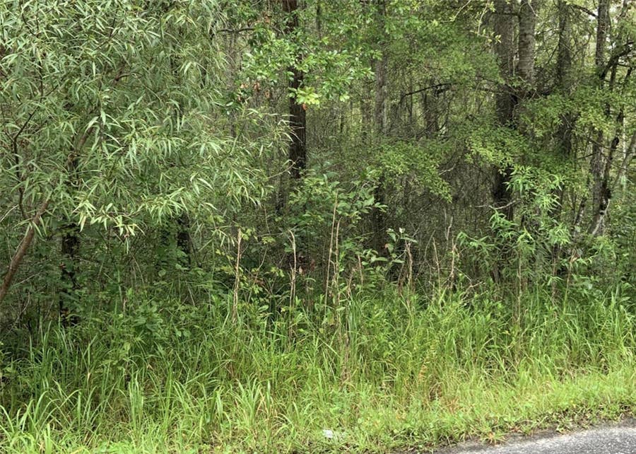 Property photo for 20616 NW 75TH STREET, Alachua, FL