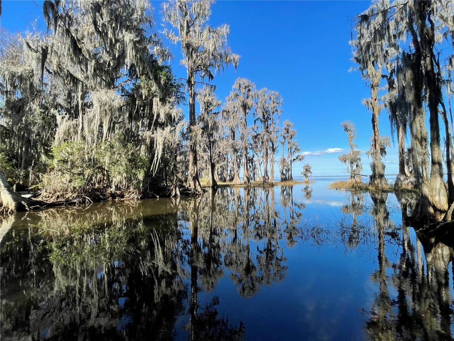Property photo for 24510 NE STATE RD 26, Melrose, FL