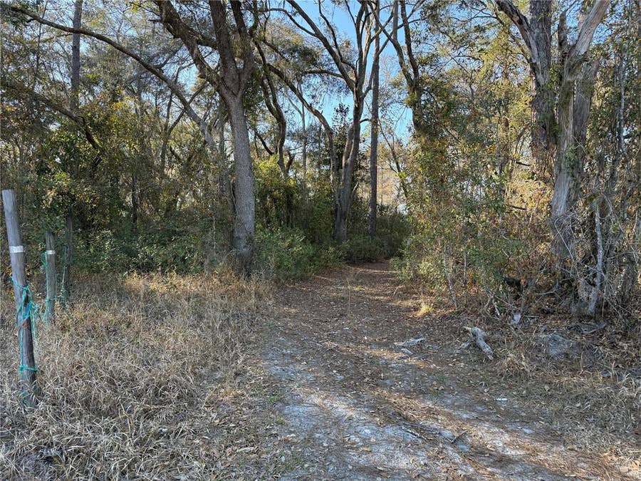 Property photo for 0 NE 126 STREET, Bronson, FL