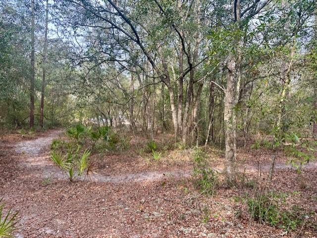 Property photo for NW 11TH AVENUE, Bell, FL