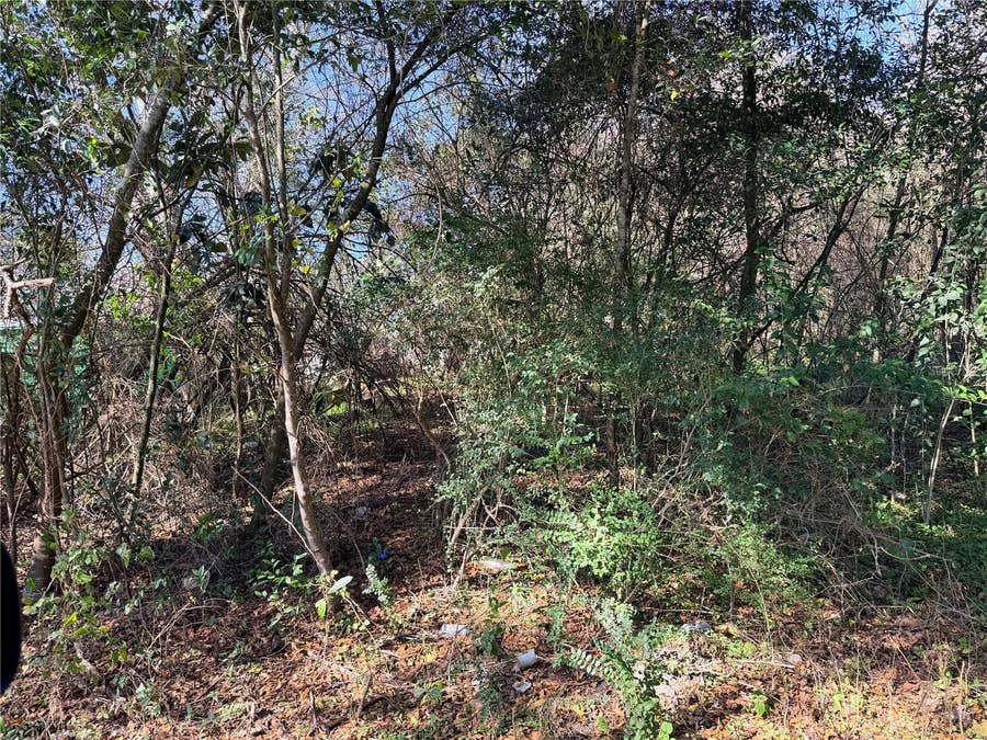 Property photo for TBD NW 151ST AVENUE, Alachua, FL