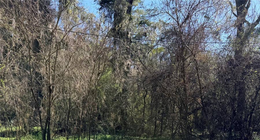Property photo for TBD PLATTED ROAD WAY, Alachua, FL