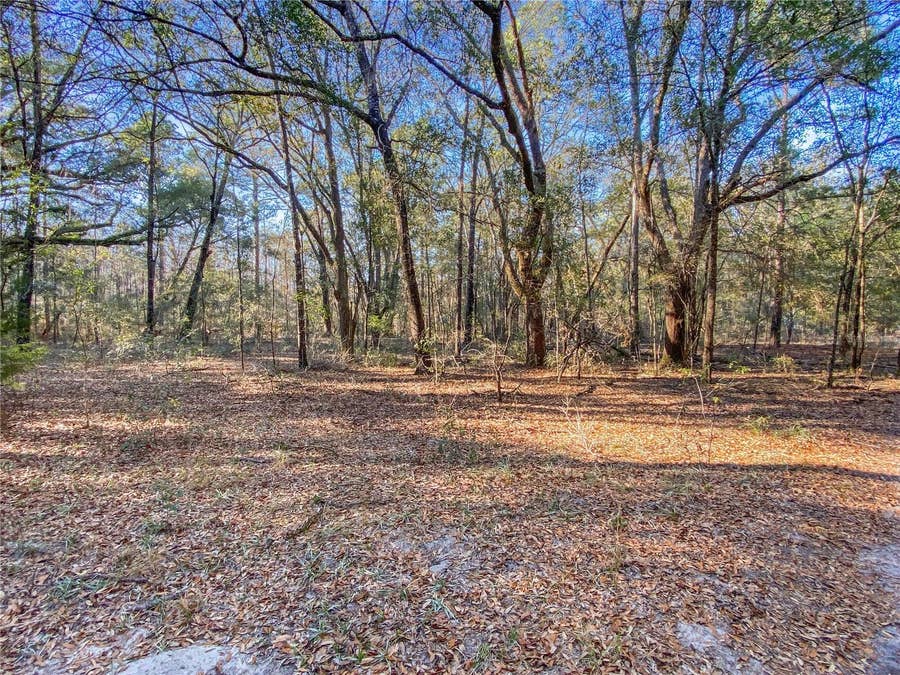 Property photo for SW BUFFALO CT, Fort White, FL