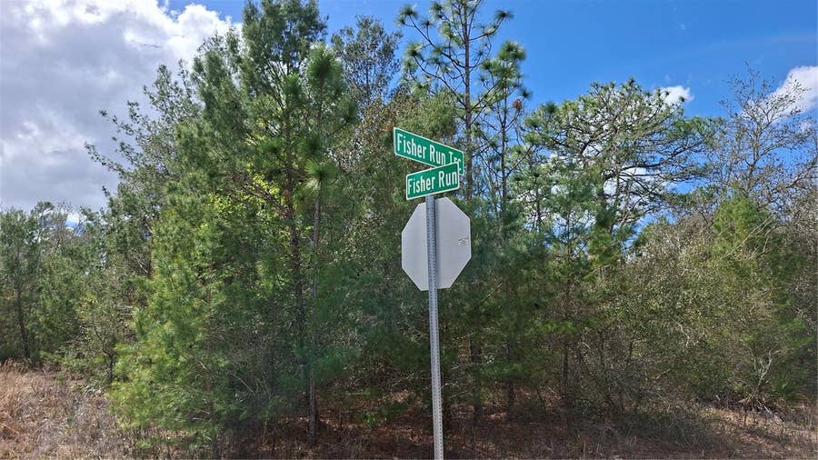 Property photo for FISHER RUN, Ocklawaha, FL