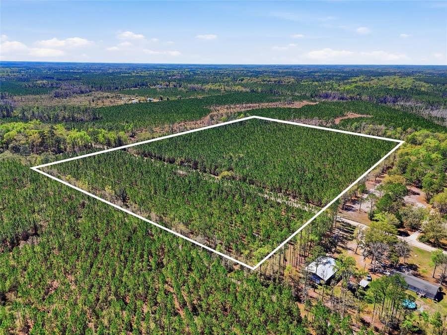Property photo for TBD SE POUNDS HAMMOCK ROAD, Lake City, FL