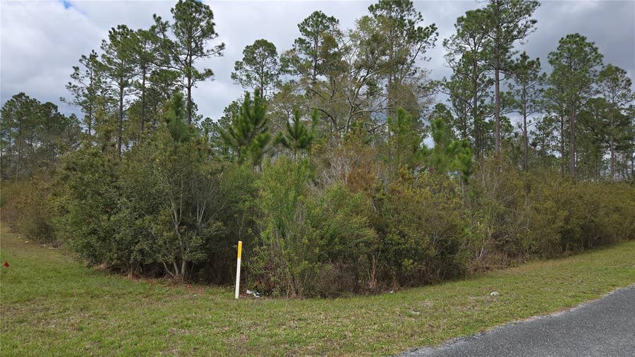 Property photo for Lot 9 NW NATALIE WAY, Lake City, FL
