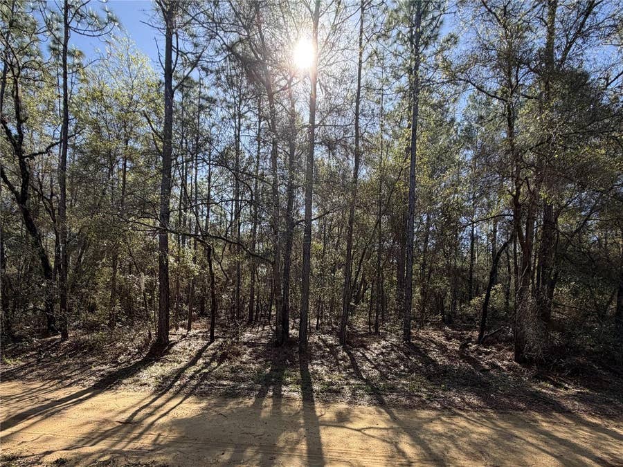Property photo for SE 7TH AVENUE, Interlachen, FL