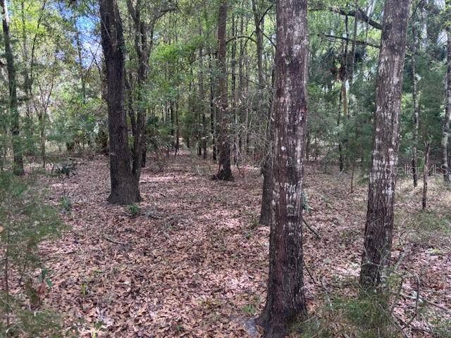 Property photo for 1.77 acres NW 73 STREET, Chiefland, FL