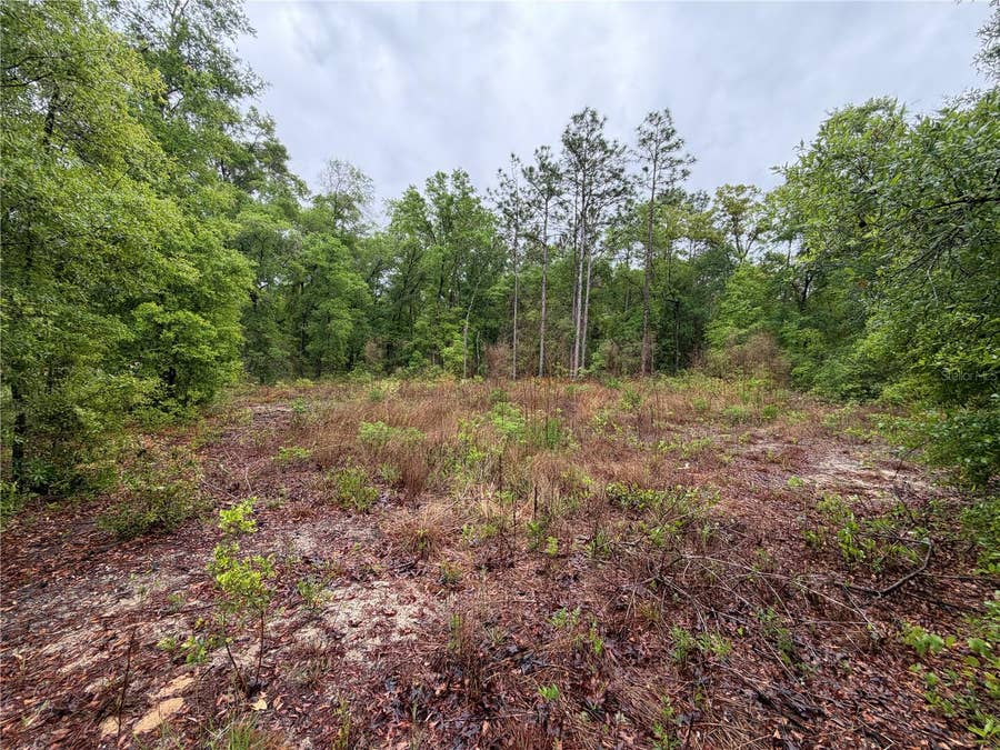 Property photo for 301 RAINBOW DRIVE, Hawthorne, FL