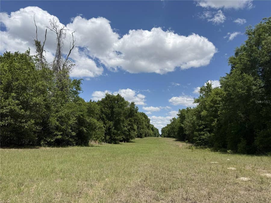 Property photo for 0 NW 140TH STREET, Chiefland, FL