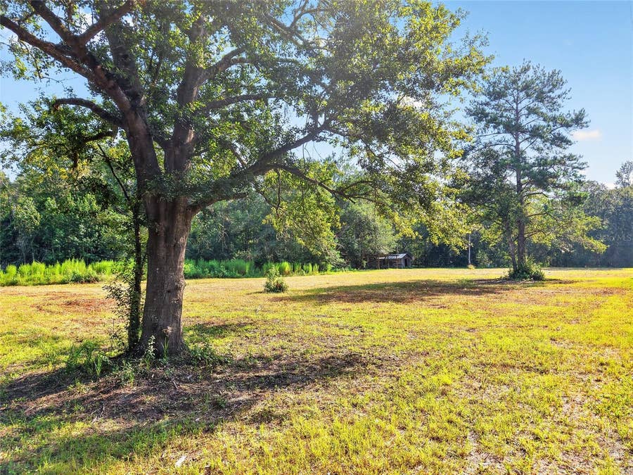 Property photo for 4814 NW 244 AVENUE, Alachua, FL