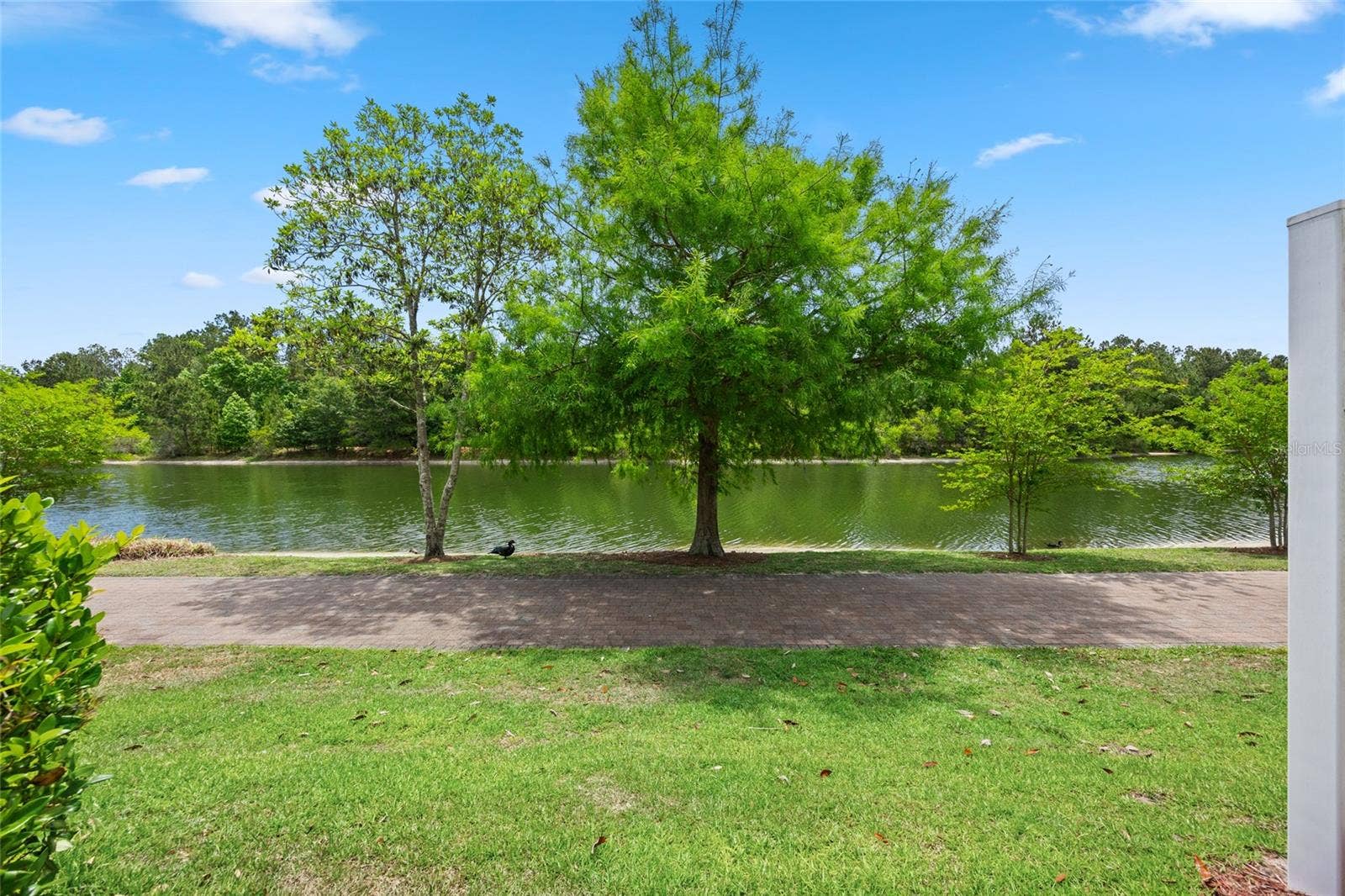 585 RUNNING WOODS STREET, Orange Park, FL 32065 backyard view