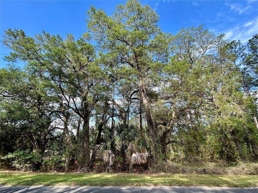 Property photo for 4819 NE 211TH DRIVE, Earleton, FL