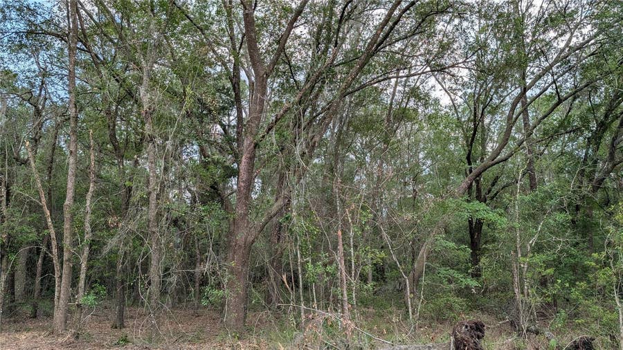 Property photo for TBD NE 108TH PLACE, Waldo, FL