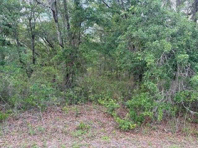 Property photo for 21902 NE 69TH PLACE, Melrose, FL
