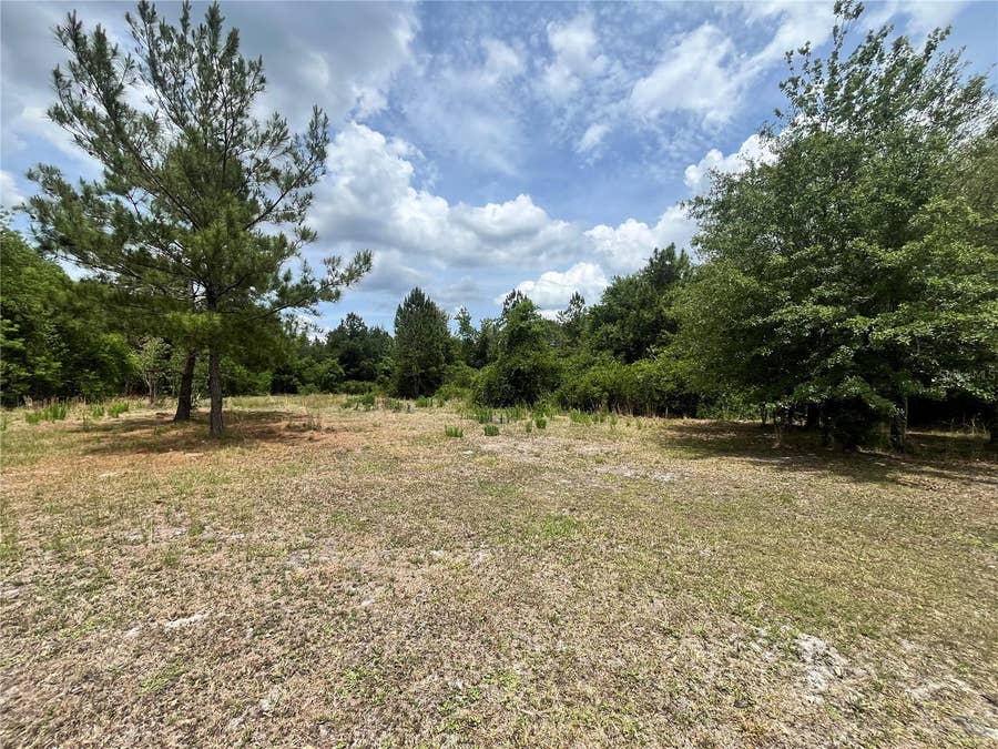 Property photo for 0 NW COUNTY ROAD 229, Starke, FL