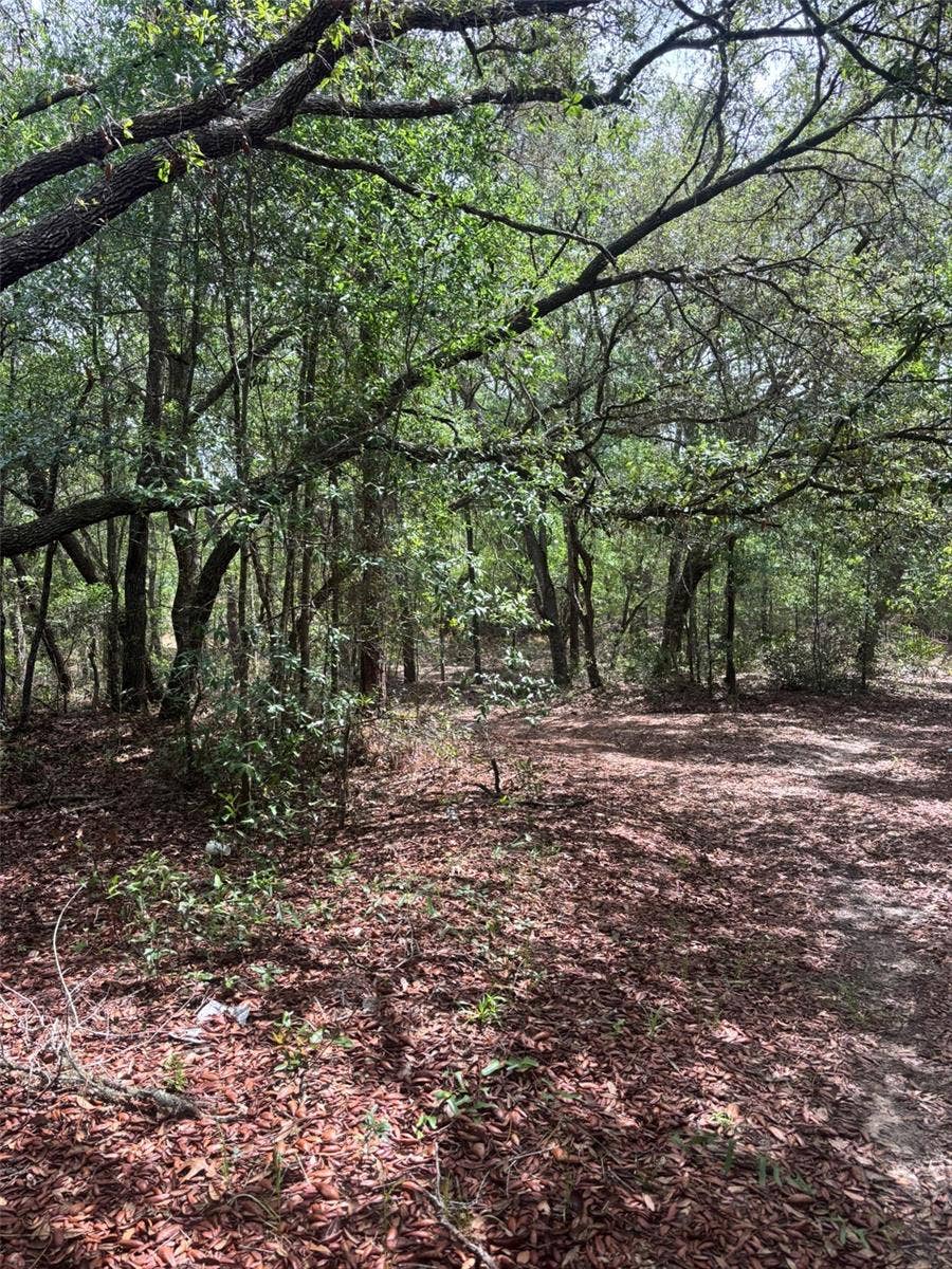 Property photo for 83RD LANE, Bronson, FL