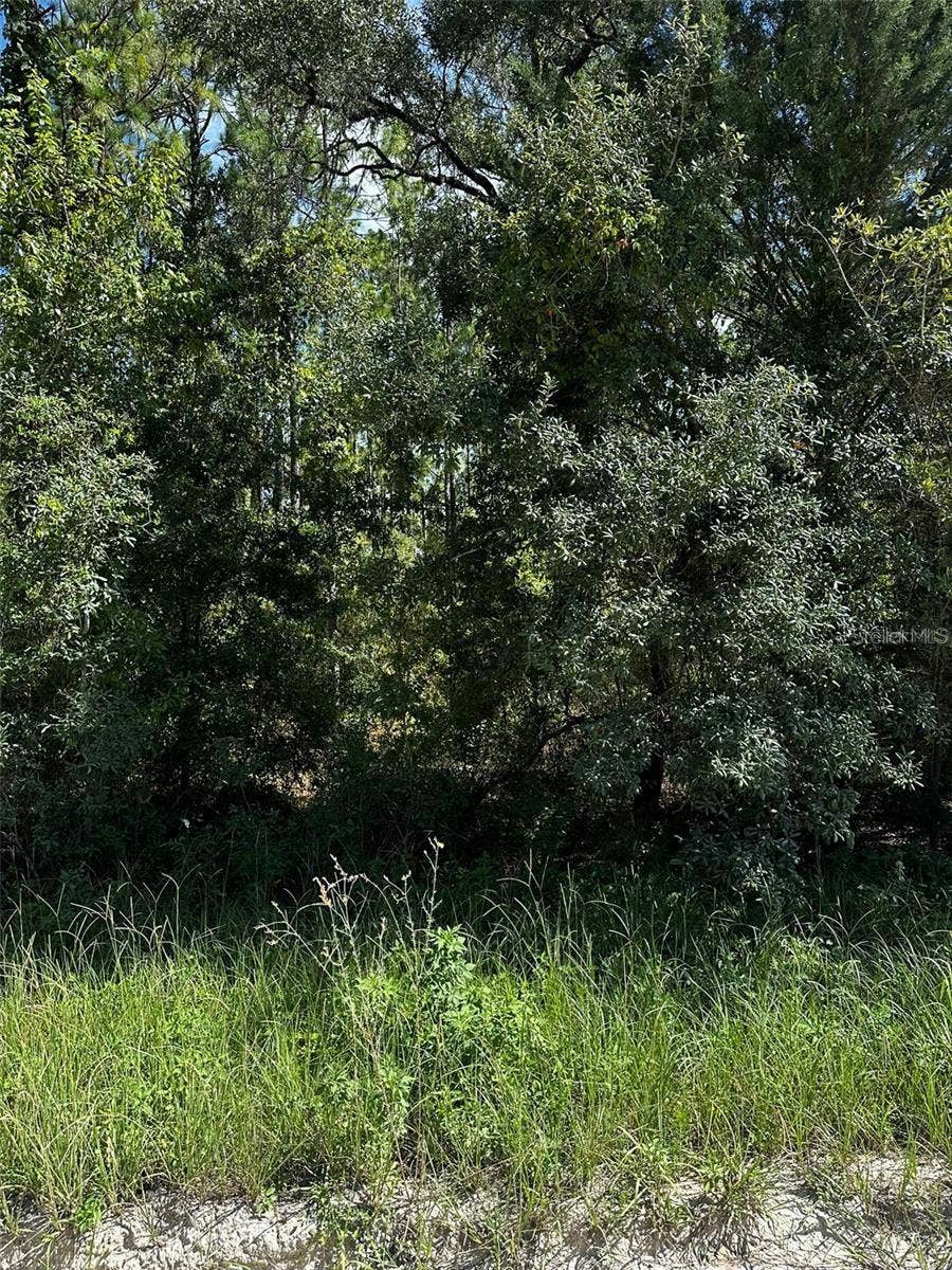 Property photo for XX SE 21ST PLACE, Morriston, FL