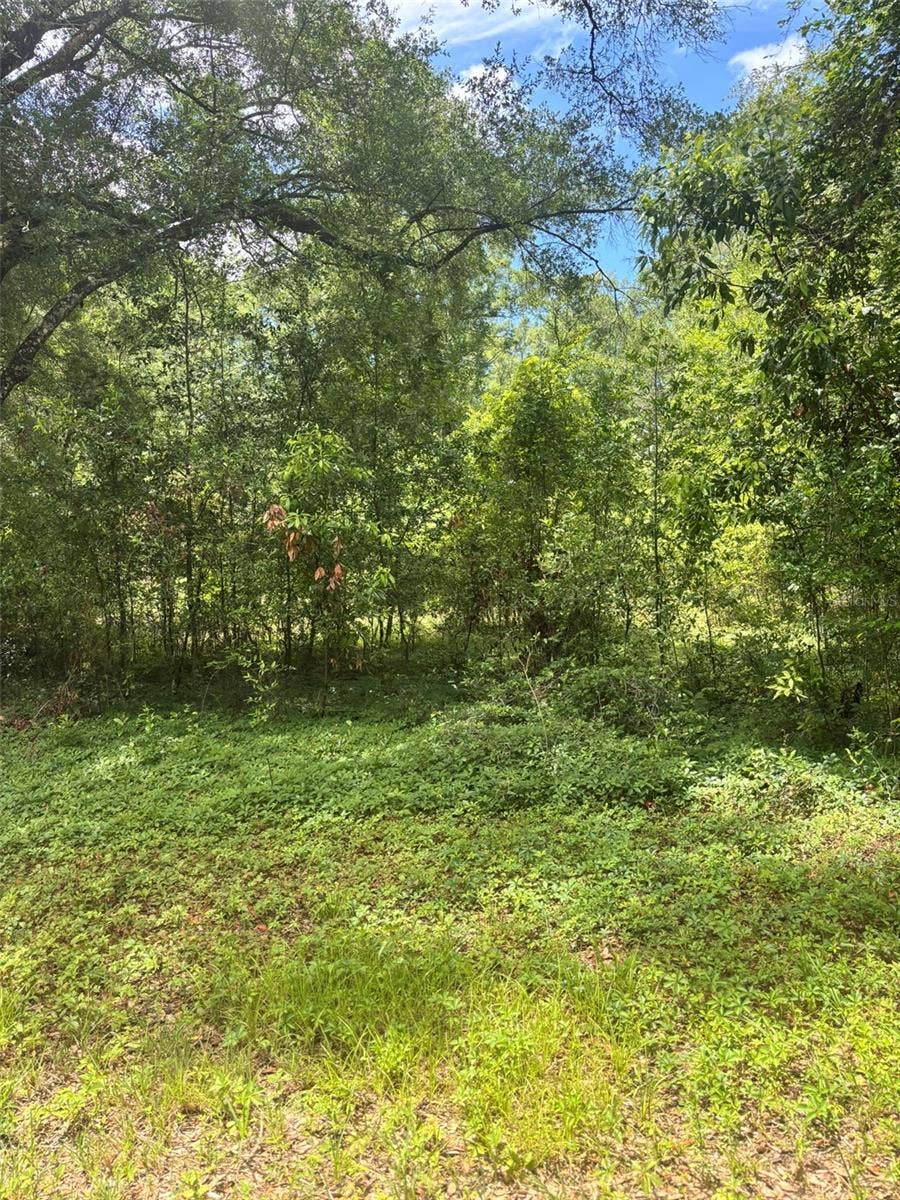 Property photo for 8230 NW 166TH STREET, Fanning Springs, FL