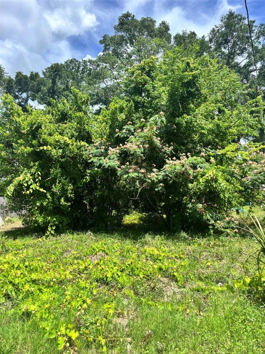 Property photo for 206 NE 13TH AVENUE, Chiefland, FL