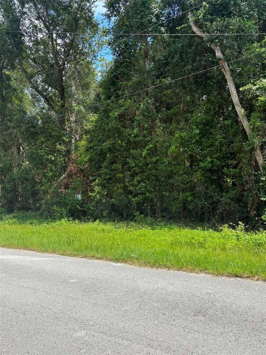 Property photo for 0000 NW 166TH STREET, Trenton, FL