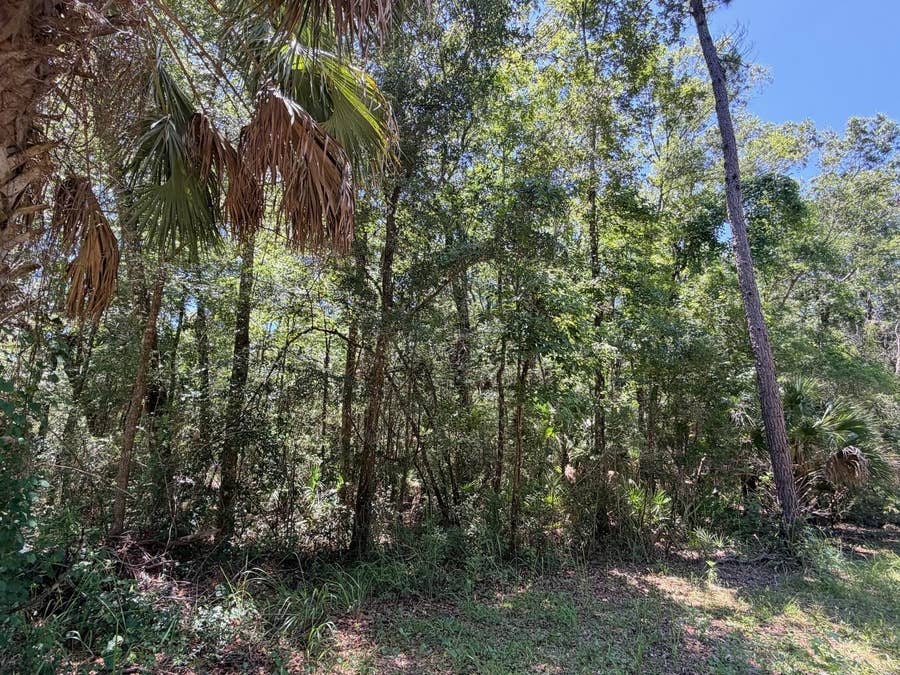 Property photo for 0 SE HWY 19, Inglis, FL