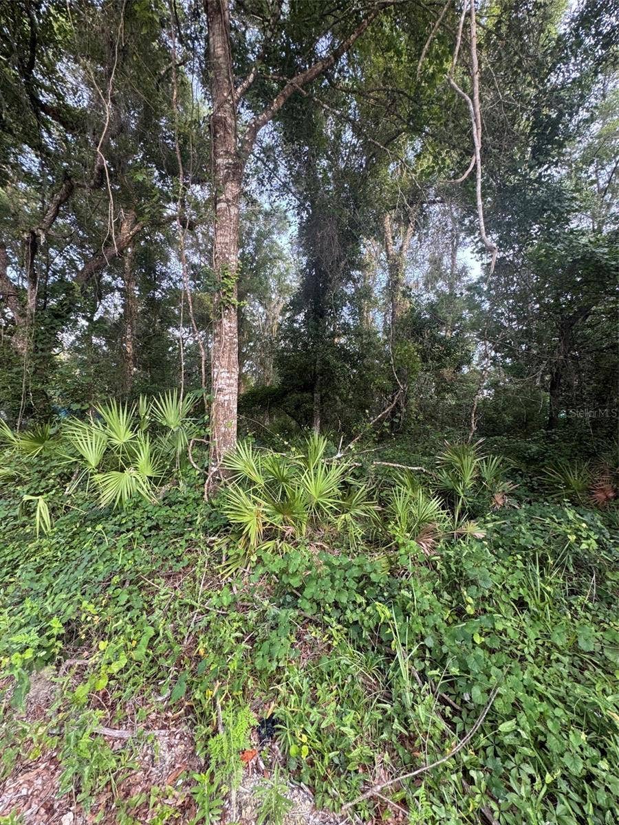 Property photo for 472 NE AVENUE AVENUE, #200, Old Town, FL