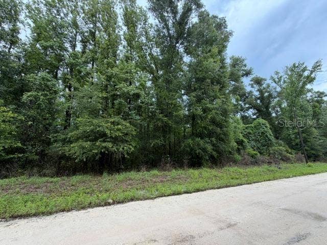 Property photo for NE 312TH AVENUE, Old Town, FL