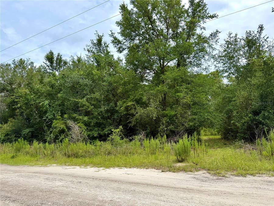 Property photo for 12790 NE 78 TERRACE, Bronson, FL