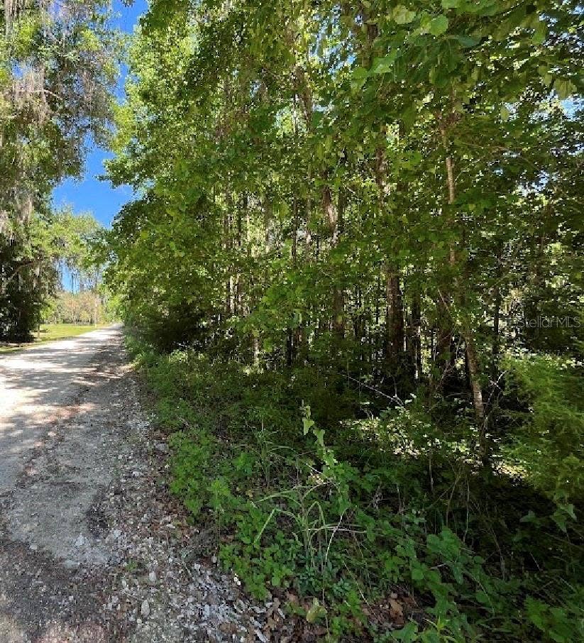 Property photo for 14220 NW 182ND LANE, Williston, FL