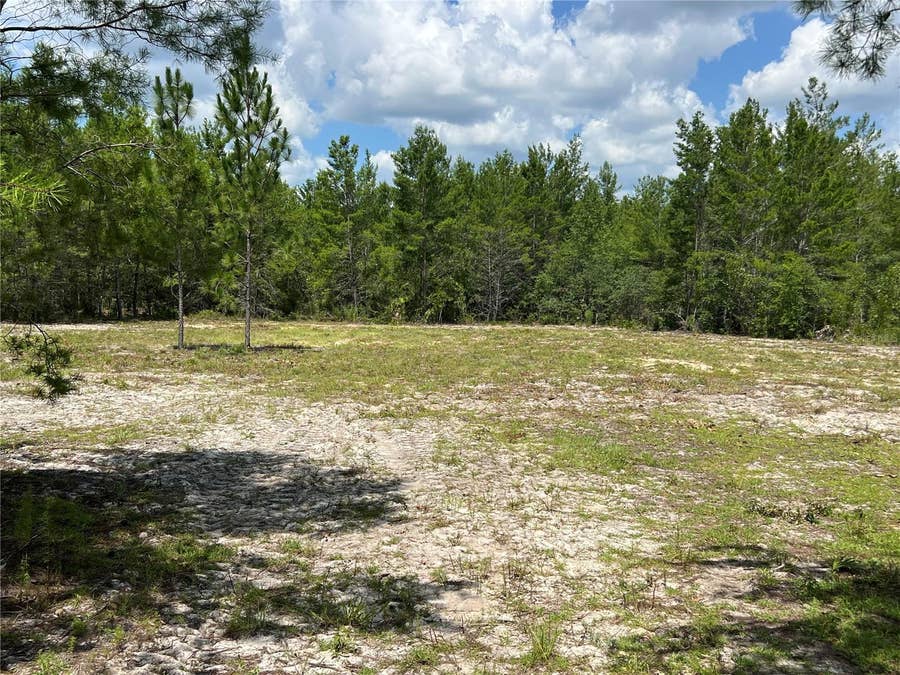 Property photo for 179TH PLACE, Archer, FL