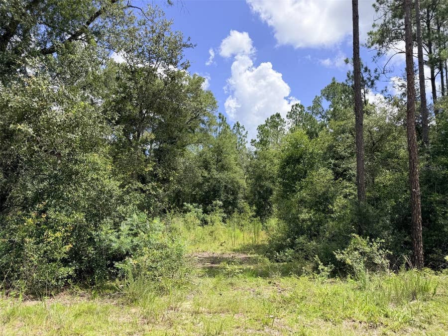 Property photo for 0 NE 77 PLACE, Bronson, FL
