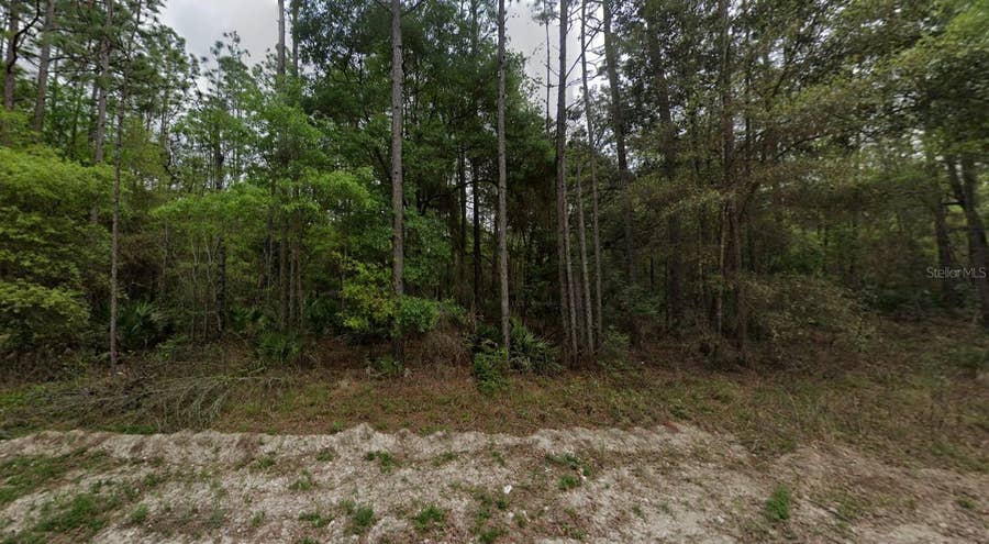 Property photo for NE 821ST STREET, Old Town, FL