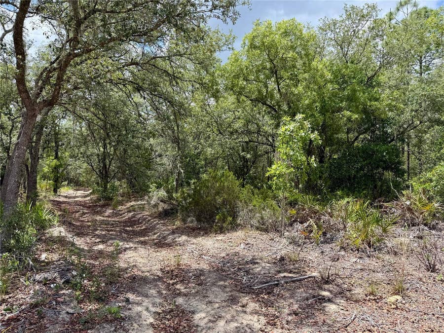 Property photo for SW 200 STREET, Archer, FL