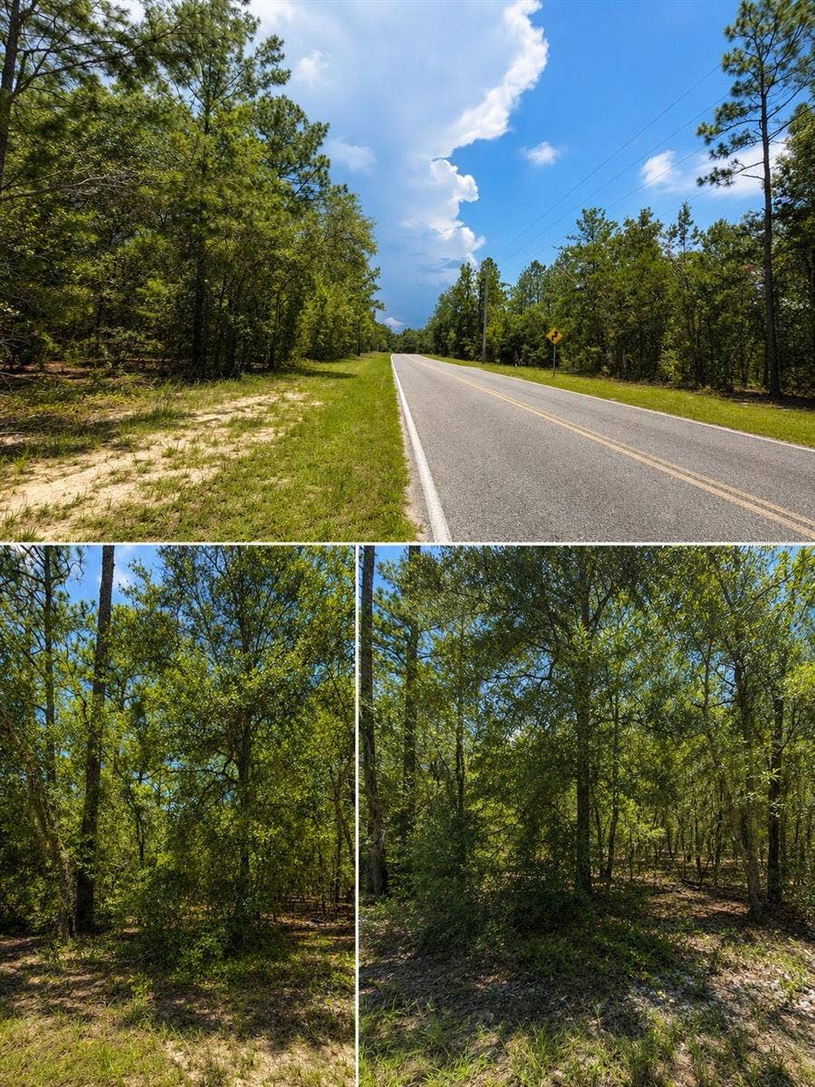 Property photo for 507 & 509 BADEN POWELL ROAD, Hawthorne, FL