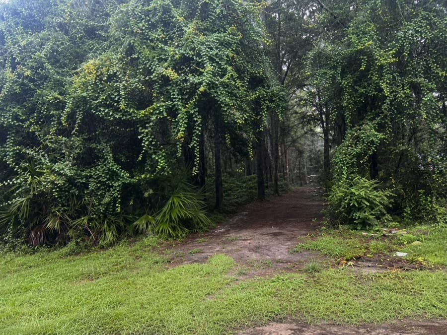 Property photo for TBD NW 167TH PLACE, Trenton, FL