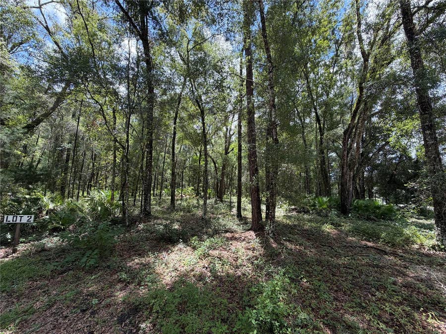Property photo for TBD SW 170TH STREET, Archer, FL
