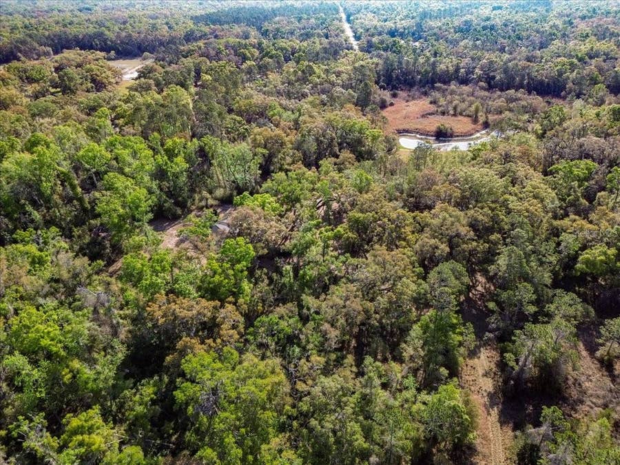 Property photo for 957 NE 354TH AVENUE, Old Town, FL