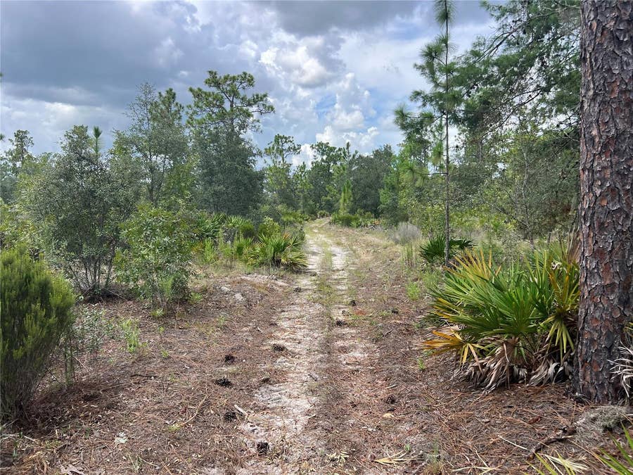 Property photo for 200 STREET, Archer, FL