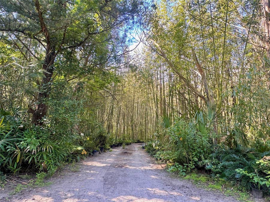 Property photo for 17970 SW 111TH STREET, Brooker, FL